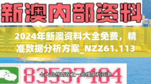 新澳2024年精准资料|精选解释解析落实